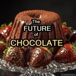 a towering dark chocolate a molten chocolate lava cake ooze mousse dusted with cocoa
